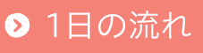1日の流れ