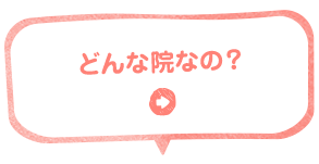 どんな院なの？