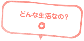 どんな保育内容なの？