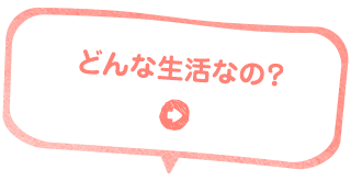 どんな生活なの？