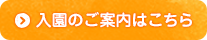 入園のご案内はこちら