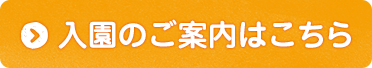 入園のご案内はこちら